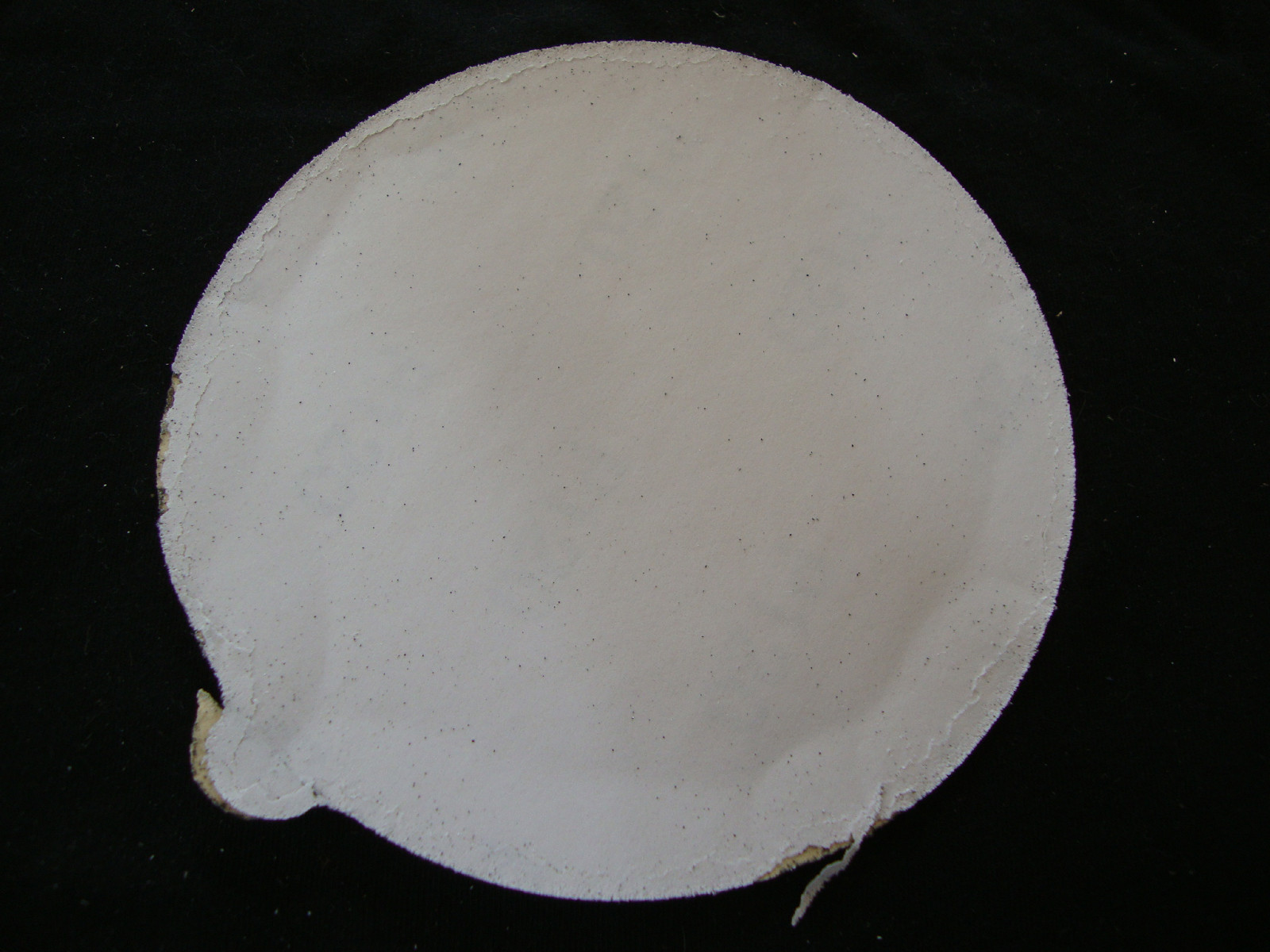 5″ Inch Sandpaper Disks P400 Grit Peel and Stick Adhesive Abrasive Sand Paper