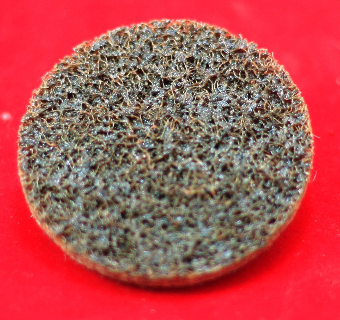 (15 Pieces) Roll-on Discf 2″ style Surface Conditioning Sanding Disc Coarse