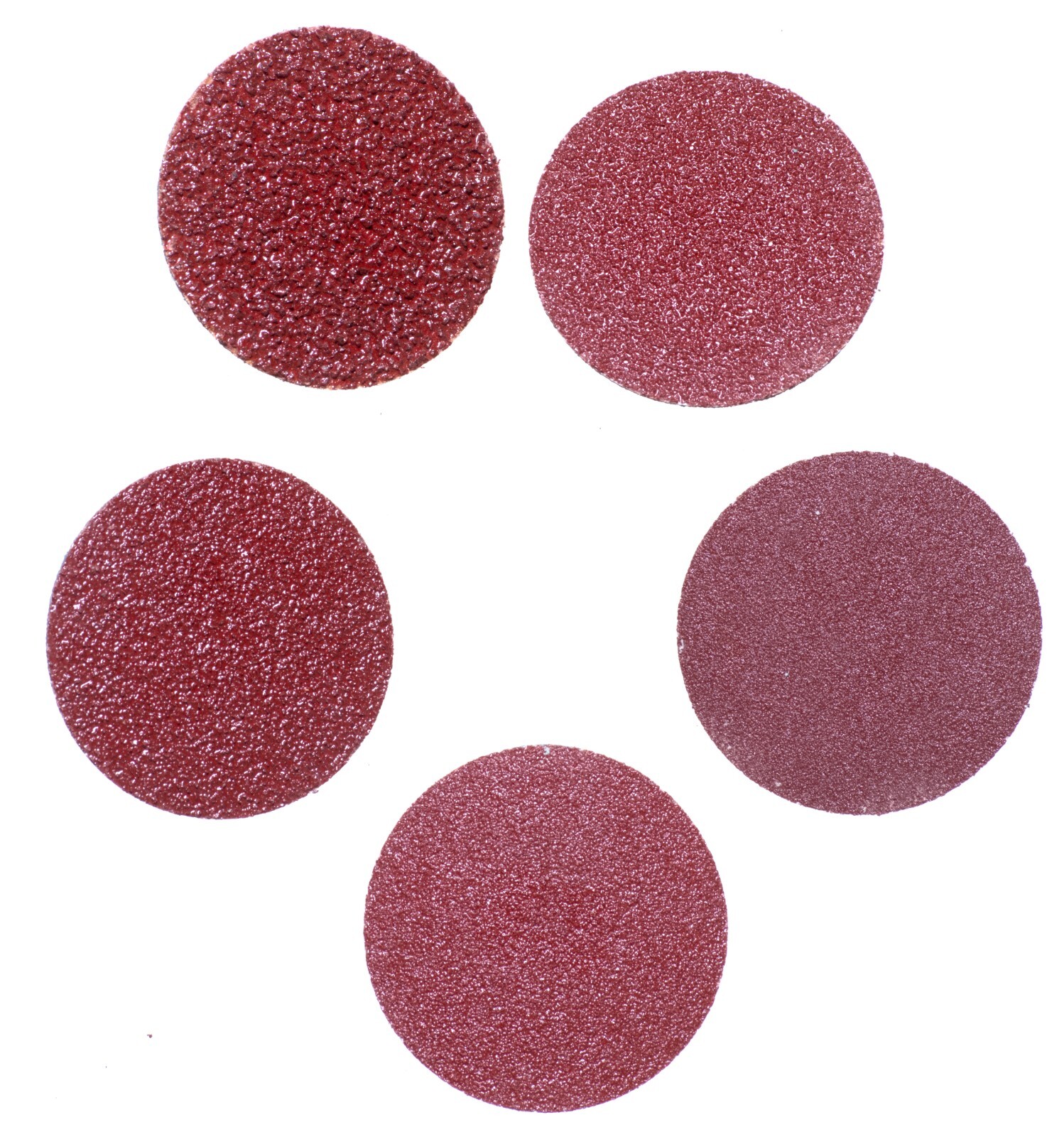 5 Pack Variety 2-in Abrasive Sanding Discs, Twist-Lock, Coarse, Med. & Fine Grit