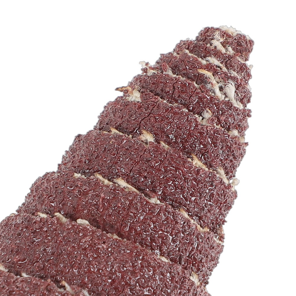 20Pcs Assorted Small Cone Flap Wheels Sandpaper Heads for Various Grinding