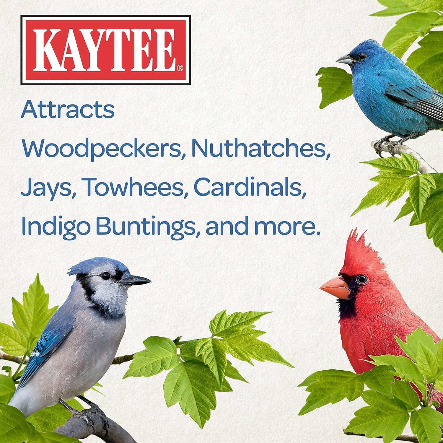 Kaytee Whole Peanuts in Shell for Cardinals, Blue Jays, Woodpeckers and Other Ou