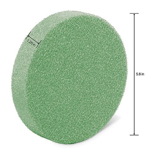 FloraFōM Disc 1.25 Inch x 5.8 Inch 1.25″ x 5.8″ Green STYRO DISCS