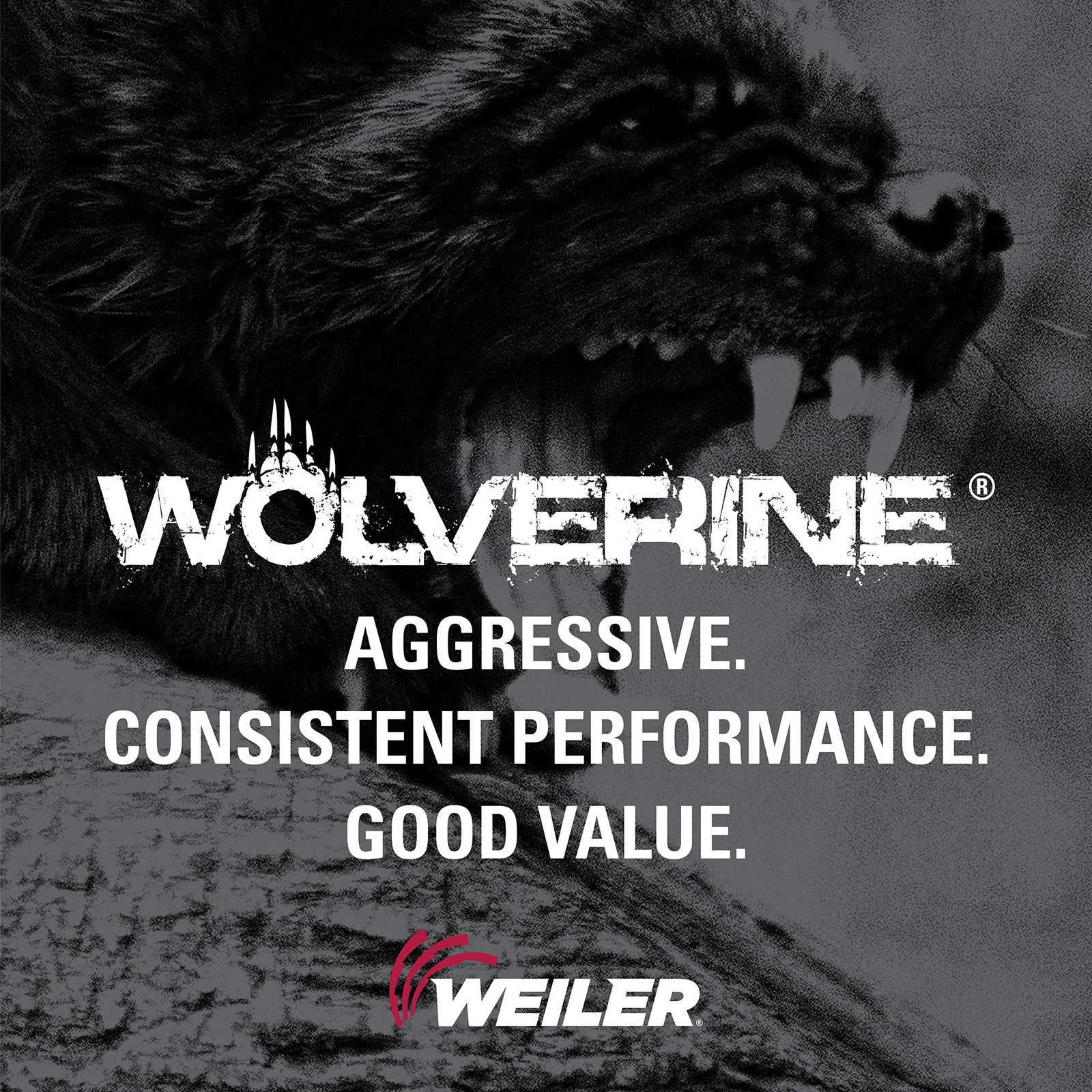 Weiler 62015 Wolverine Zirconia Alumina Resin Fiber Sanding Grinding Disc 5